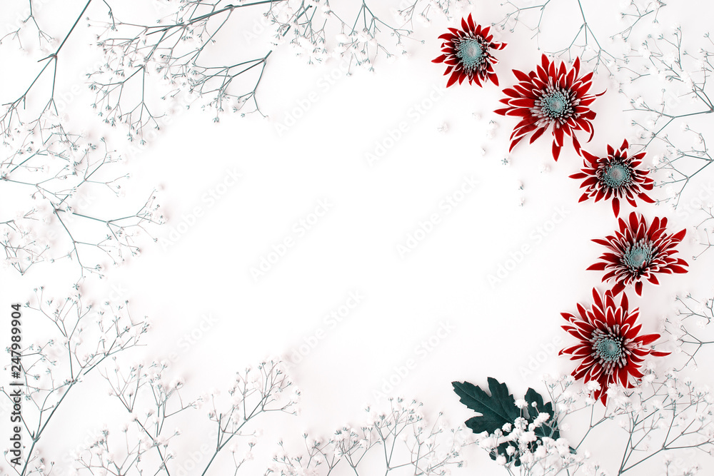 Flower design on a white background. Flower buds and branches on a white background for design. Chrysanthemums and gypsophila in spring and summer.