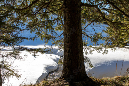 winter in nature park named steirisches almenland (Teichalm)  in styria,austria photo