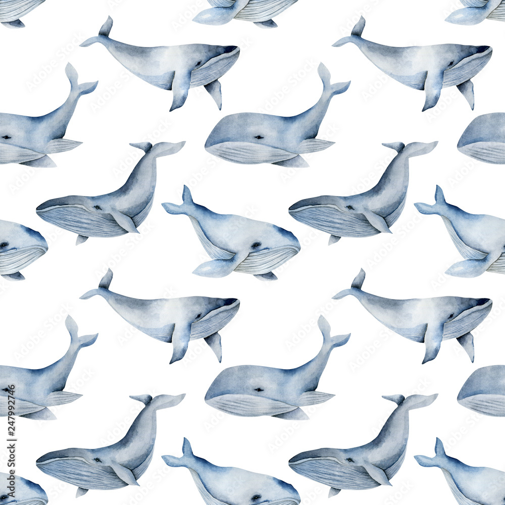 Fototapeta premium Seamless pattern with watercolor blue whales, hand painted on a white background
