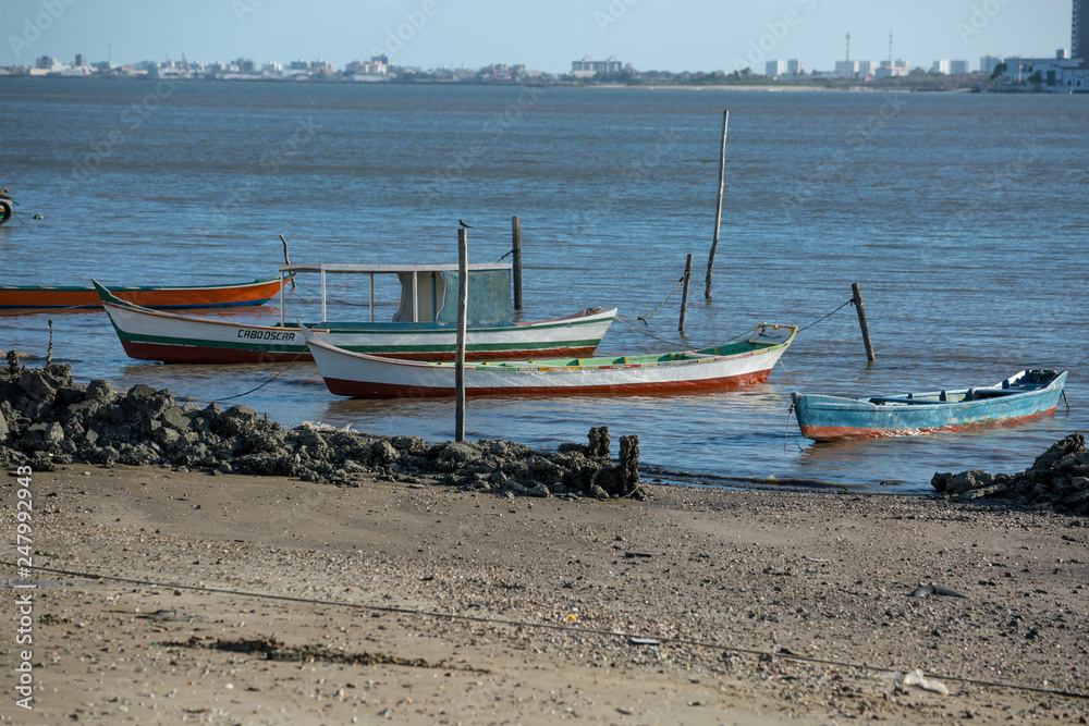 Obraz premium BARCO