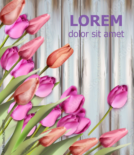Tulips card Vector watercolor. Wooden texture background. Spring colorful flo...