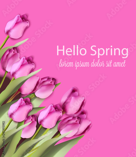 Pink tulips card Vector watercolor. Helo spring background. Season colorful f...