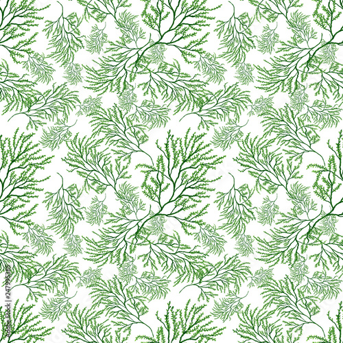 Vegetable pattern seamless pattern on white background