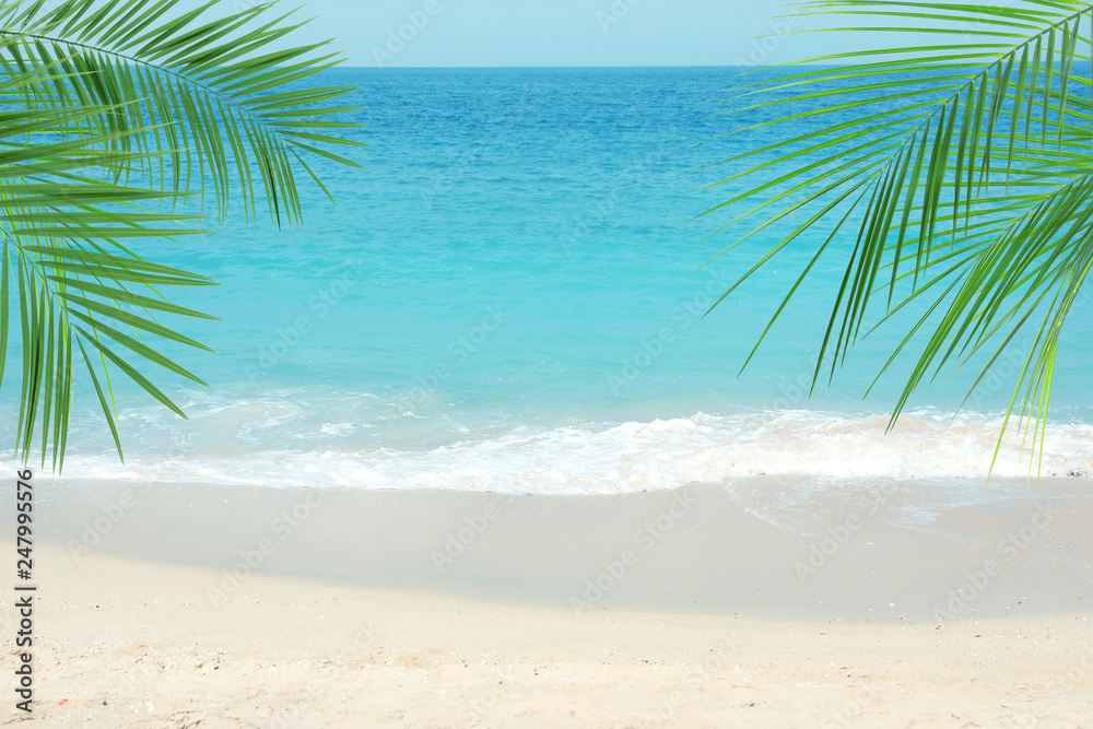 Sandy ocean beach and tropical palm leaves on sunny day