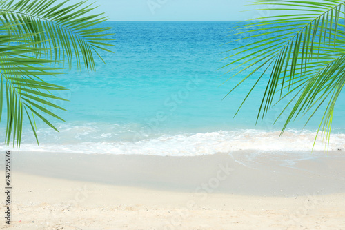 Sandy ocean beach and tropical palm leaves on sunny day