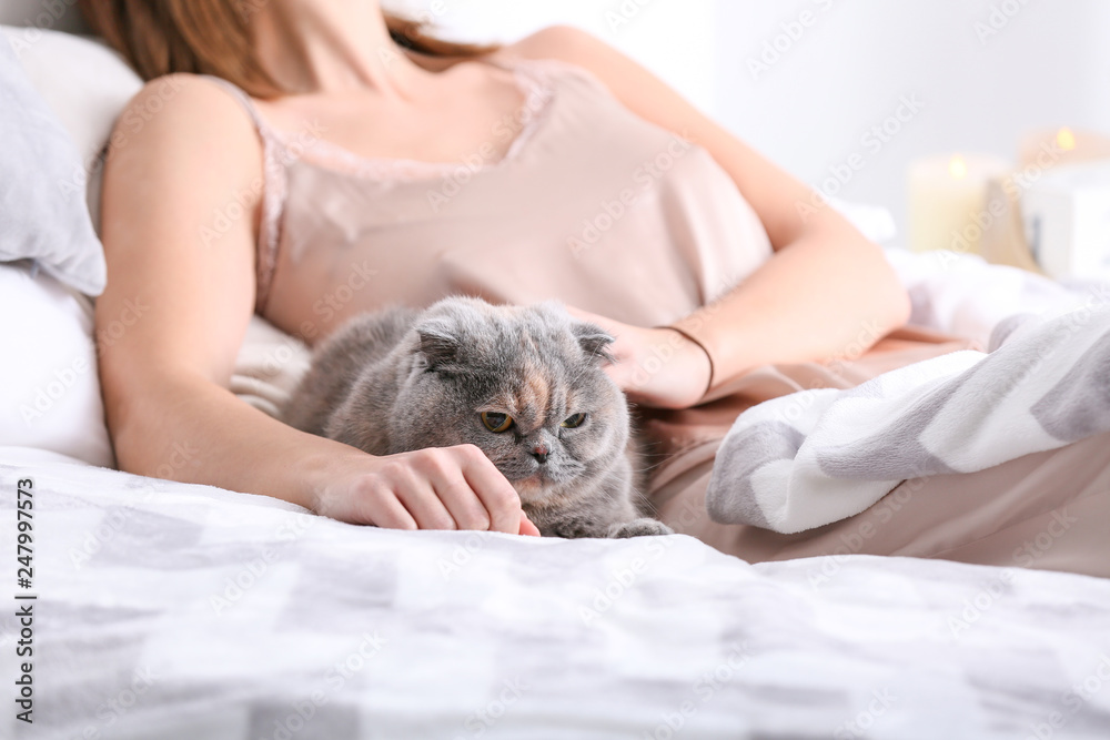 Cute cat with owner resting on bed at home Cute cat with owner resting on bed at home