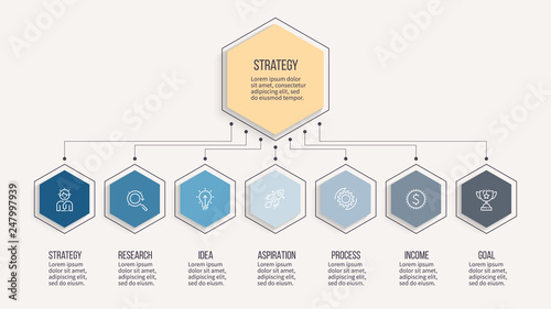 Business infographic. Organization chart with 7 options, hexagons. Vector template. Editable line.