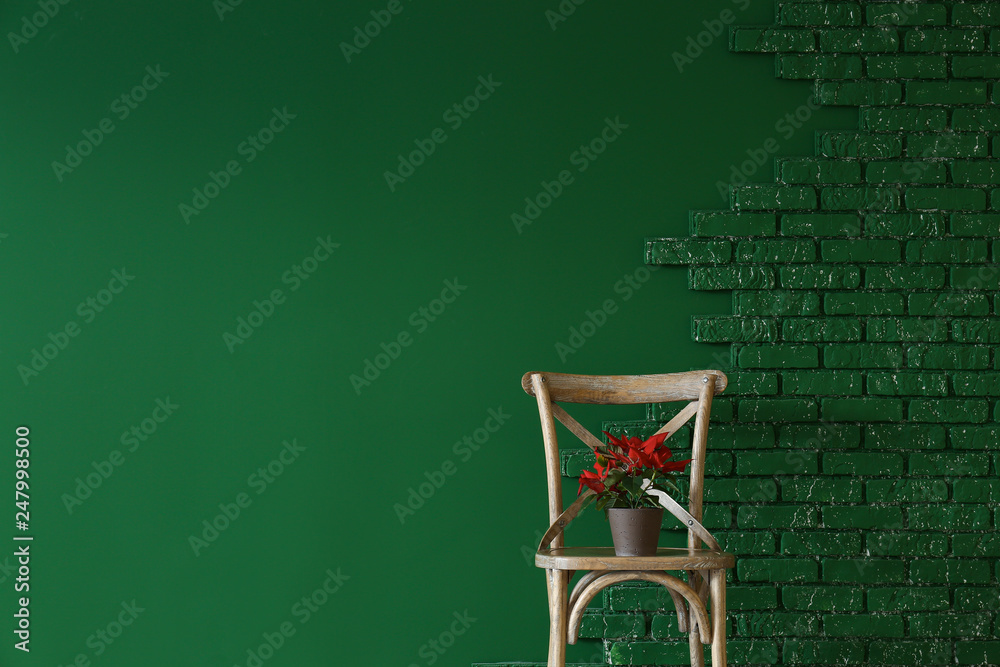 Chair with houseplant near color wall