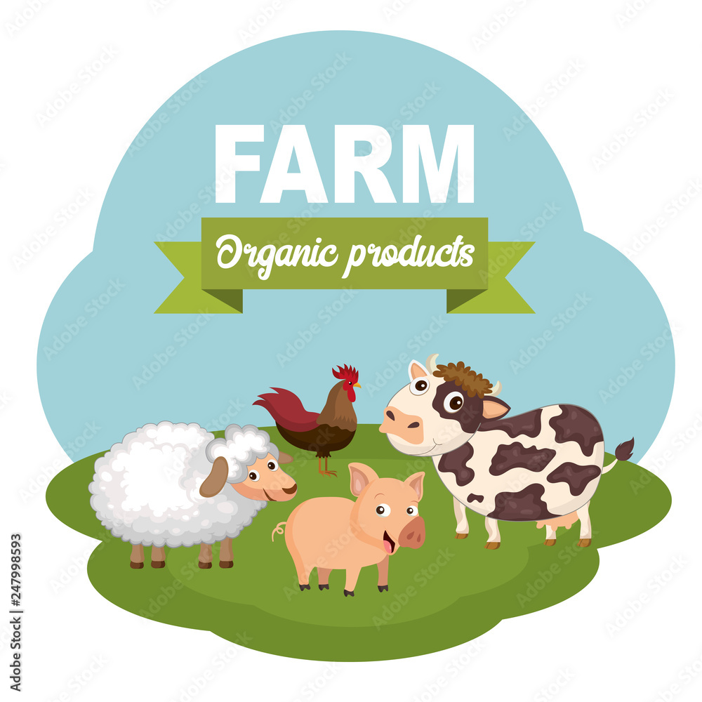 Pigs in the farm scene. Concept for animal farm and organic meat food. Flat vector illustration Pigs in the farm scene. Concept for animal farm and organic meat food. Flat vector illustration