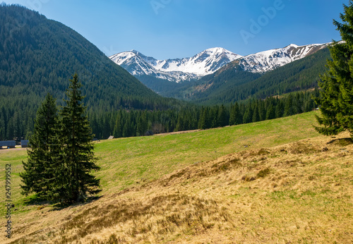 Beautiful Chocholowska Clearing with snowcapped mountains in the background, Tatra Mountains, Poland