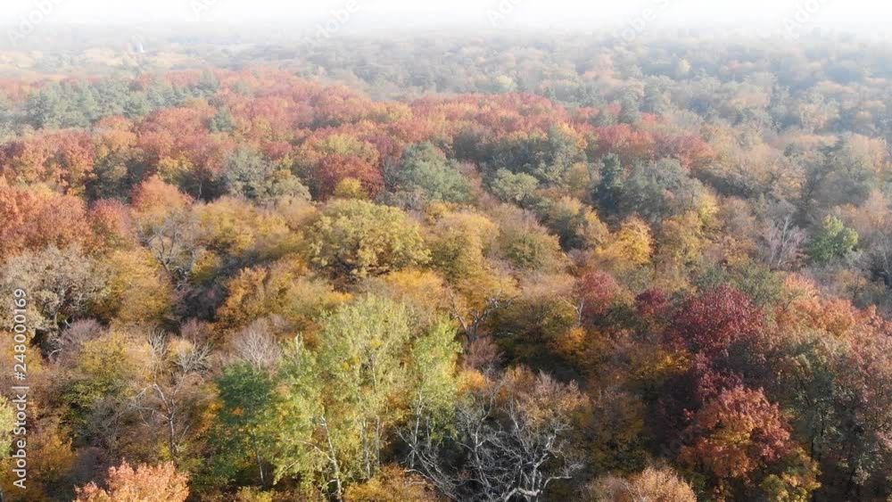 Aerial Flyover of Ukrainian Forest in the Fall. 4k Ultra HD video Aerial Flyover of Ukrainian Forest in the Fall. 4k Ultra HD video