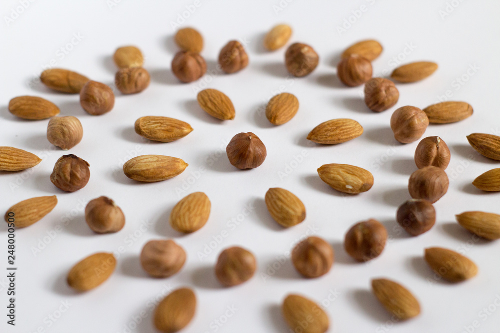 nut circle, flower, hazelnut and almond nut circle, flower, hazelnut and almond