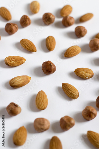 nut circle, flower, hazelnut and almond