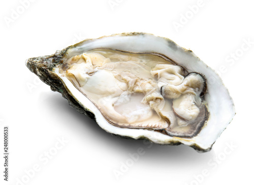 Fresh raw oyster on white background