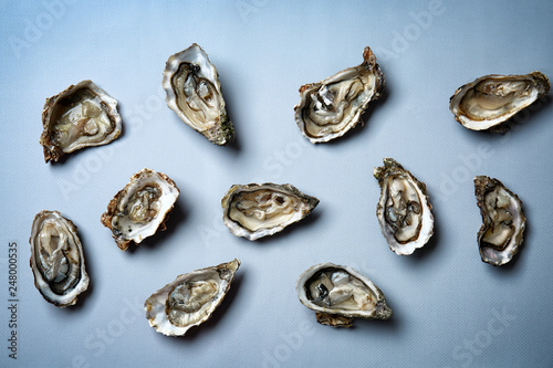 Fresh raw oysters on grey background