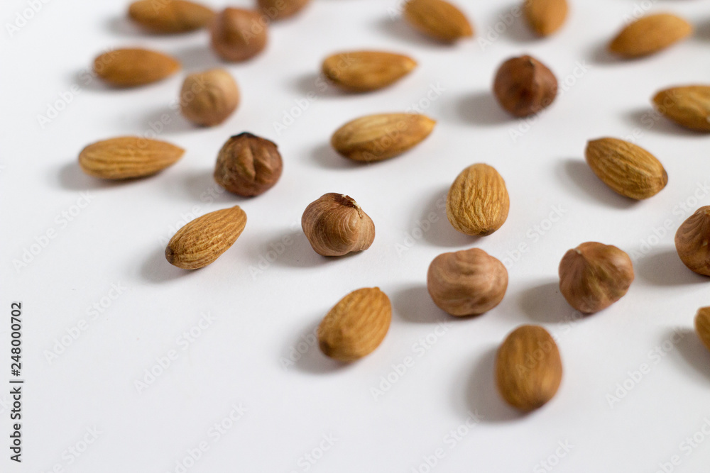 nut circle, flower, hazelnut and almond nut circle, flower, hazelnut and almond