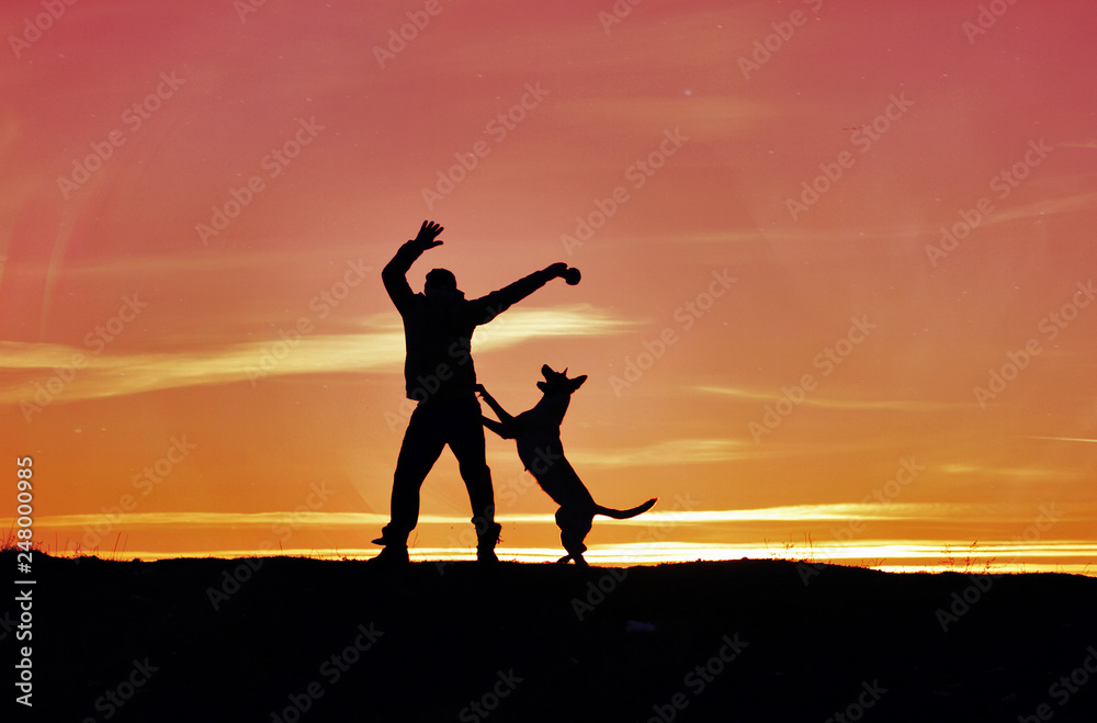 Silhouettes of man and dog on sunset background