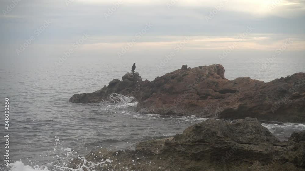 The coast in the sea of Santa Eulalia a cloudy day, Ibiza The coast in the sea of Santa Eulalia a cloudy day, Ibiza