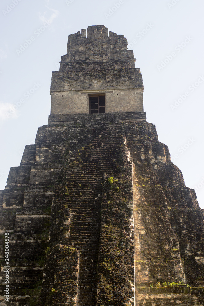 Tikal (Guatemala) temple 1 in the Jungle