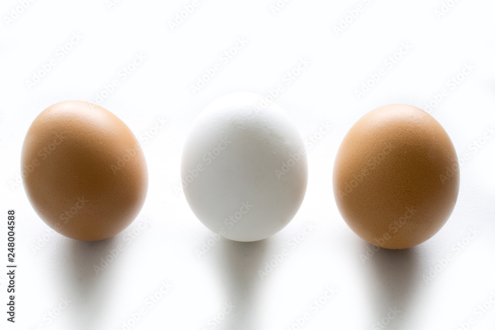 white and brown chicken eggs on white background white and brown chicken eggs on white background