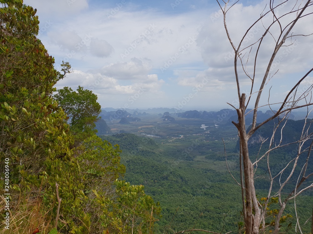 Panorama view at the jungle hiking trail to dragon crest with a tree in front in Khao Ngon Nak in Krabi, Thailand, Asia Panorama view at the jungle hiking trail to dragon crest with a tree in front in Khao Ngon Nak in Krabi, Thailand, Asia