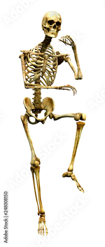 3D Rendering Human Skeleton on White