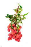 Bunch of ripe red letchi on a white background - Tropical fruit
