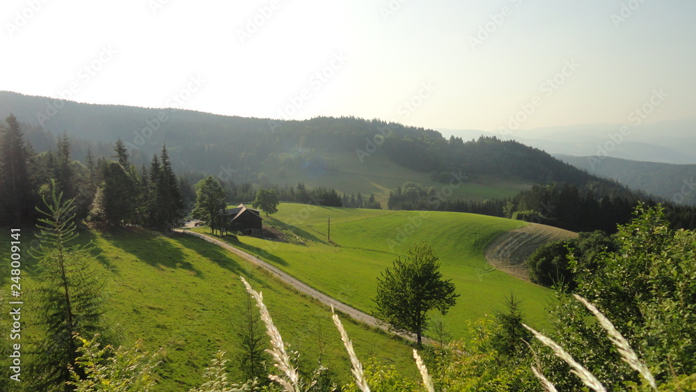summer in Austria summer in Austria