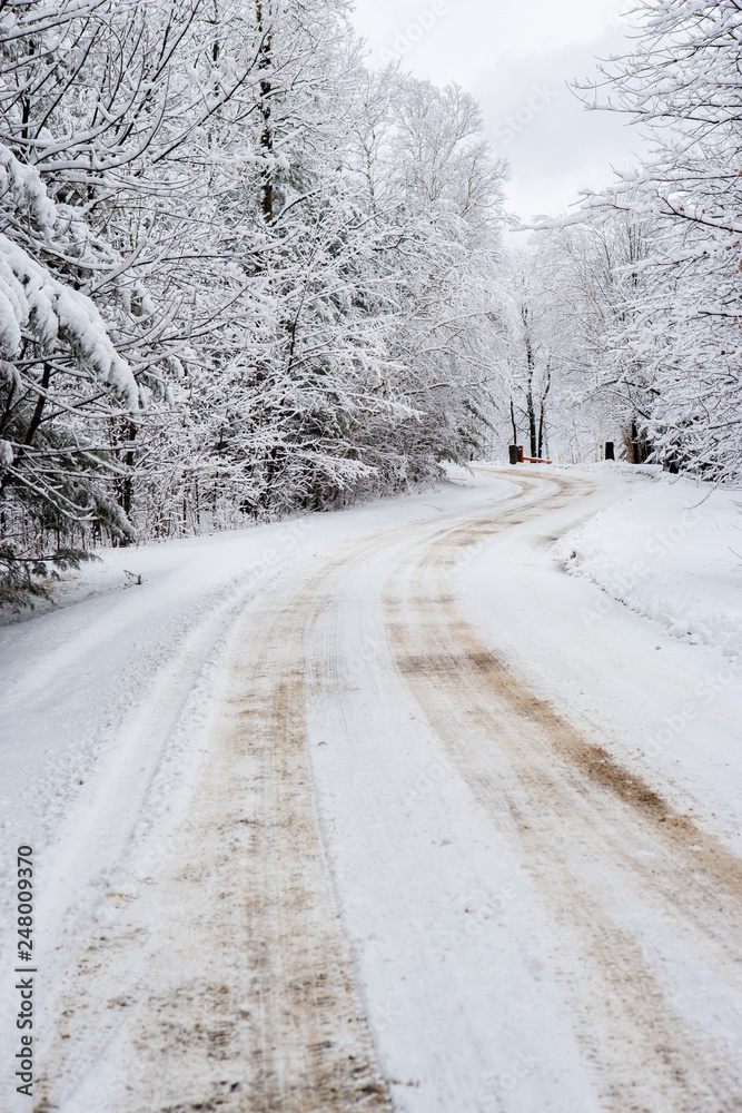 Road going between snow covered trees, Stowe, Vermont, USA Road going between snow covered trees, Stowe, Vermont, USA