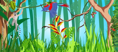 Horizontal vector illustration of jungle and its habitants