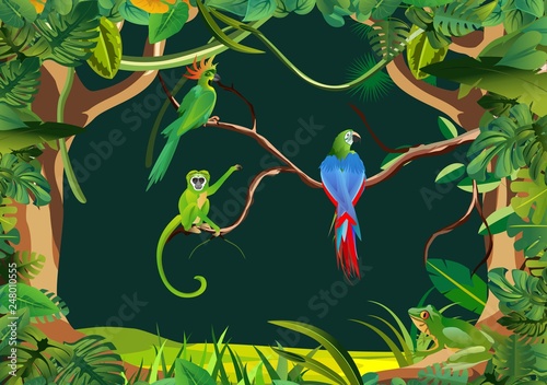 Green Ape  and parrots sitting on tree branch exotic animals and birds jungle backgound vector jungle illustration
