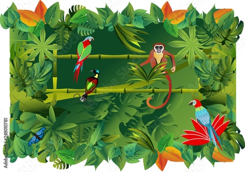 Apes  and parrots exotic animals and birds jungle backgound vector jungle illustration