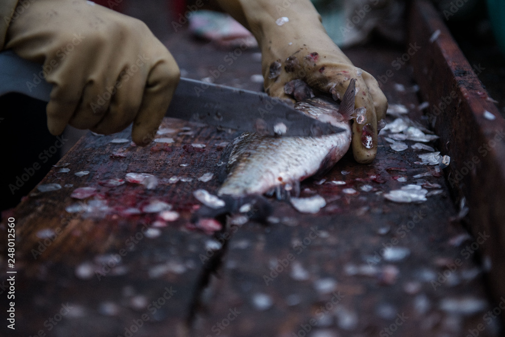 Cutting and cleaning fish with a knife on the cutting table Cutting and cleaning fish with a knife on the cutting table