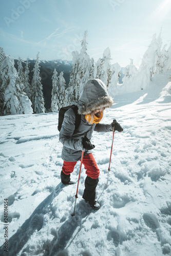Woman is hiking in snowy winter mountains with trekkin poles and a backpack.  In background blue sky and shiny sun. Concepts: adventure, determination, extreme sport.
