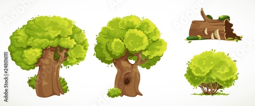 Set of two old thick trees with summer green foliage, old mossy stump  and shrub vector drawing isolated on white background
