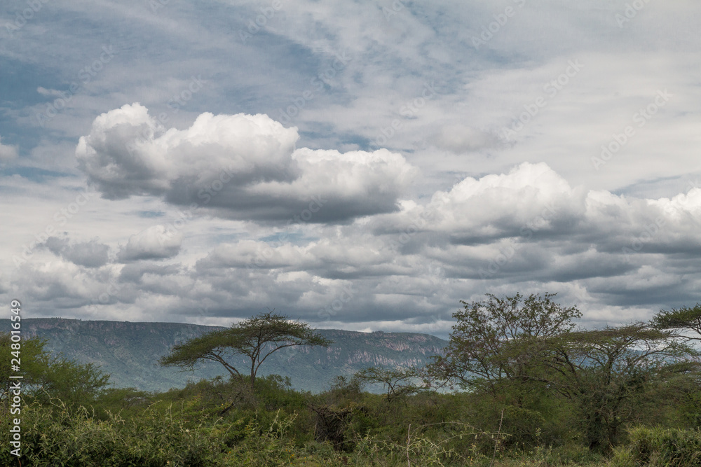 Trees and mountains, Swaziland