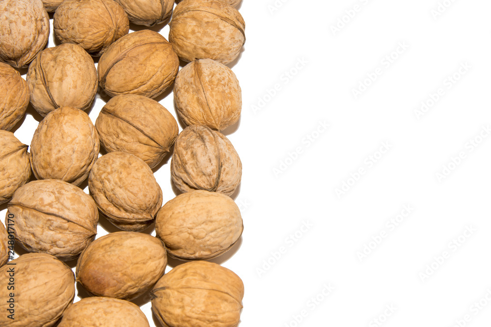 Close-up of walnut. Walnut in the corner. From the side. On white background. Isolated.