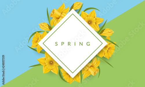 Rhombus geometric flat frame with yellow daffodil flowers and green leaf. Vector illustration in modern style, in the colors of spring, flower template banner for Easter design