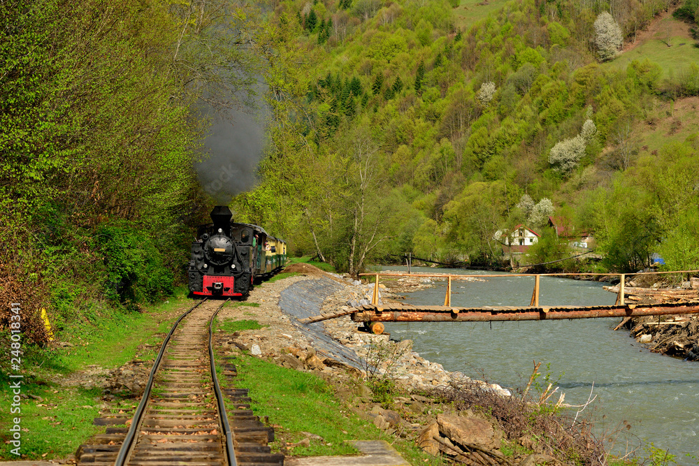 Old Steam train from Maramures county in Romania in spring time