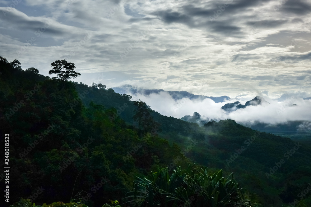 custom made wallpaper toronto digitalKhao Sok National Park landscape, Thailand