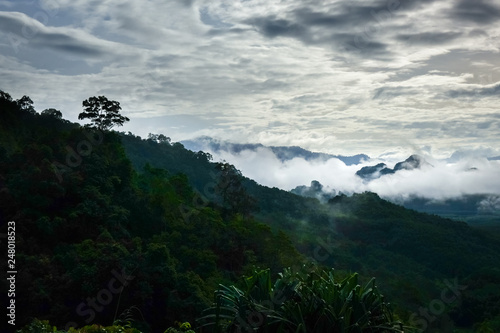 Wallpaper Mural Khao Sok National Park landscape, Thailand Torontodigital.ca