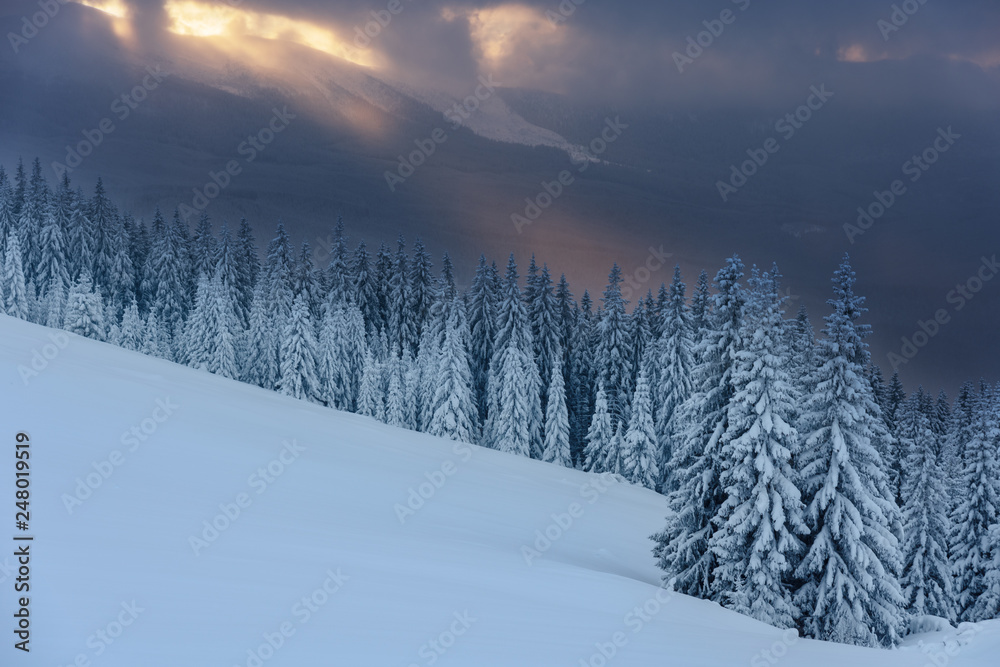 Fototapeta premium Winter, active holidays in the Carpathian Mountains with picturesque huts and plenty of snow.