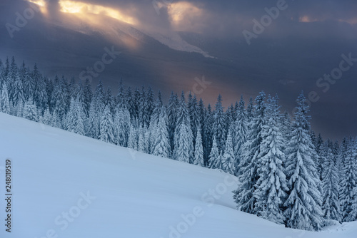 Winter, active holidays in the Carpathian Mountains with picturesque huts and plenty of snow. © reme80