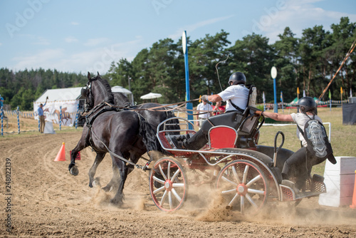 Horse and stunt riders, carriage contest on the race track 