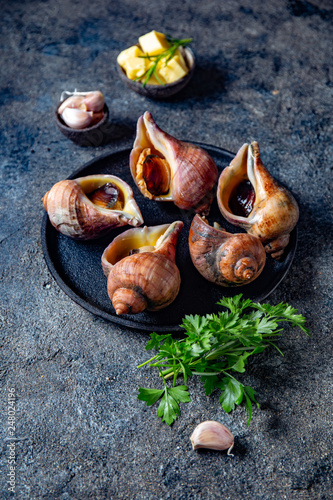 Raw ingredients giant ESCARGOT from Pacific ocean. Chilean big snails, butter, garlic and parsley.