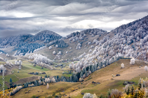 Romanian landscape in the Carpathian mountains with frost over autumn leafs