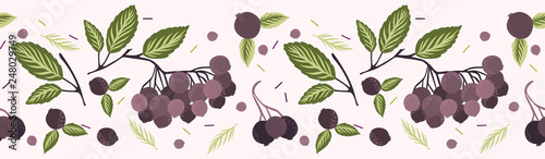 Realistic aronia berry vector illustration Seamless repeating border pattern. Hand drawn black chokeberries, leaf. Juicy natural antioxidants. Nutritional superfruits background. Packaging design.