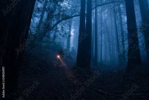 Fototapeta Naklejka Na Ścianę i Meble -  Person in the forest