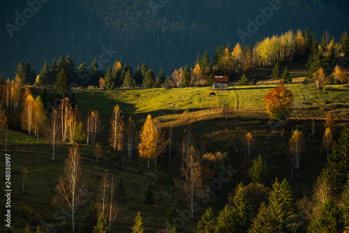 Fototapeta Naklejka Na Ścianę i Meble -  Autumn morning in Bucovina , landscape in Romania 