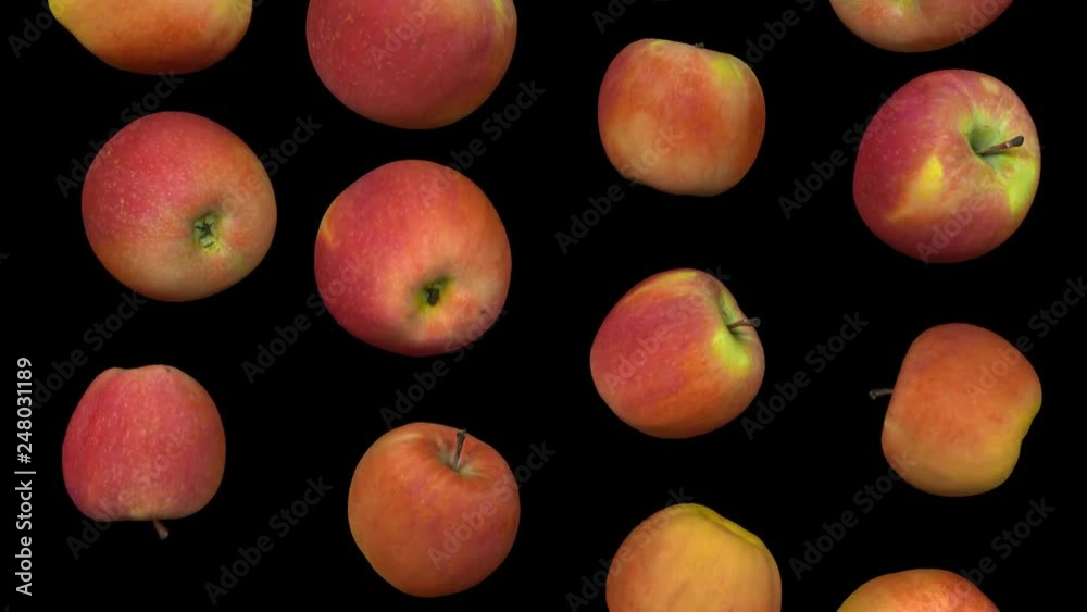 Realistic render of falling Fuji apples on transparent background (with alpha channel). The video is seamlessly looping, and the objects are 3D scanned from real apples.